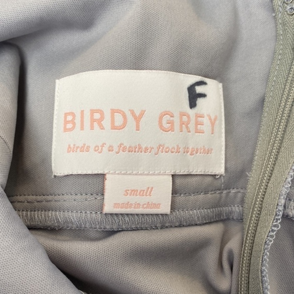 NWT Birdy Grey Kae Chiffon Dress in Silver - Picture 11 of 11